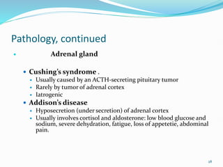 28
Pathology, continued
 Adrenal gland
 Cushing’s syndrome .
 Usually caused by an ACTH-secreting pituitary tumor
 Rarely by tumor of adrenal cortex
 Iatrogenic
 Addison’s disease
 Hyposecretion (under secretion) of adrenal cortex
 Usually involves cortisol and aldosterone: low blood glucose and
sodium, severe dehydration, fatigue, loss of appetetie, abdominal
pain.
 