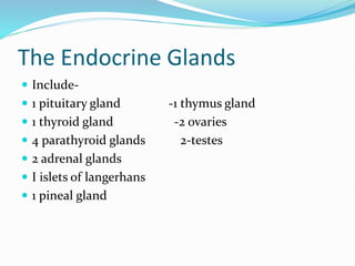 The Endocrine Glands
 Include-
 1 pituitary gland -1 thymus gland
 1 thyroid gland -2 ovaries
 4 parathyroid glands 2-testes
 2 adrenal glands
 I islets of langerhans
 1 pineal gland
 
