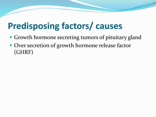 Predisposing factors/ causes
 Growth hormone secreting tumors of pituitary gland
 Over secretion of growth hormone release factor
(GHRF)
 