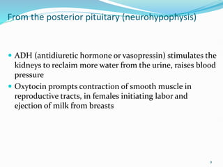 From the posterior pituitary (neurohypophysis)
 ADH (antidiuretic hormone or vasopressin) stimulates the
kidneys to reclaim more water from the urine, raises blood
pressure
 Oxytocin prompts contraction of smooth muscle in
reproductive tracts, in females initiating labor and
ejection of milk from breasts
9
 