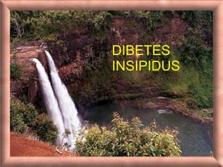DIBETES
INSIPIDUS
 