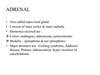 ADRENAL

• Also called supra renal gland.
• Consists of outer cortex & inner medulla.
• Hormones secreted are :
 Cortex- androgens, aldosterone, corticosterone.
 Medulla – epinephrine & nor epinephrine.
• Major disorders are : Cushing syndrome, Addison's
  disease, Primary aldesteronism, hyper secretion of
  catecholamine.
 