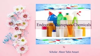 Endocrine Disruptors Chemicals
by
Scholar Abeer Tahir Ansari
 