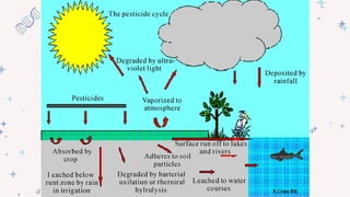 Endocrine Distrupter Toxicology.ppt (agadtantra) | PPTX