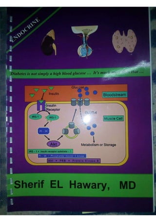 Endocrine dr hawary 2021