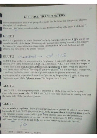 Endocrine dr hawary 2021