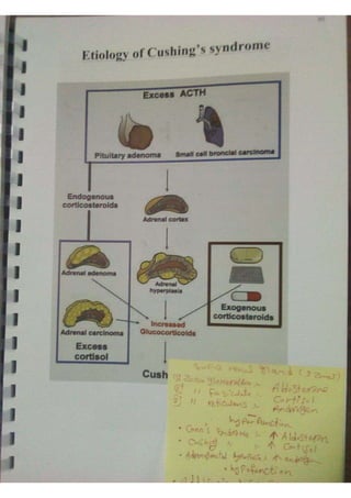 Endocrine dr hawary 2021