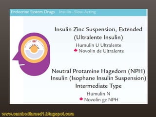 Endocrine Drugs