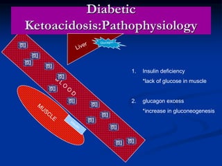 1. Insulin deficiency
*lack of glucose in muscle
2. glucagon excess
*increase in gluconeogenesis
Diabetic
Ketoacidosis:Pathophysiology
 