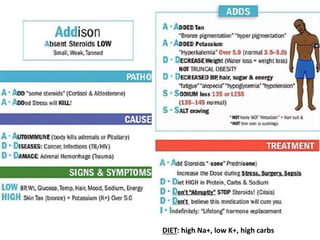 DIET: high Na+, low K+, high carbs
 