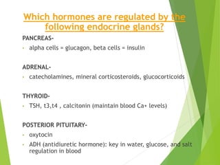 Which hormones are regulated by the
following endocrine glands?
PANCREAS-
• alpha cells = glucagon, beta cells = insulin
ADRENAL-
• catecholamines, mineral corticosteroids, glucocorticoids
THYROID-
• TSH, t3,t4 , calcitonin (maintain blood Ca+ levels)
POSTERIOR PITUITARY-
• oxytocin
• ADH (antidiuretic hormone): key in water, glucose, and salt
regulation in blood
 