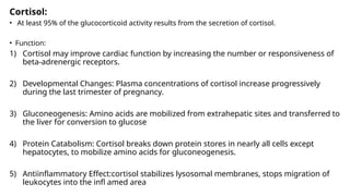 Cortisol:
• At least 95% of the glucocorticoid activity results from the secretion of cortisol.
• Function:
1) Cortisol may improve cardiac function by increasing the number or responsiveness of
beta-adrenergic receptors.
2) Developmental Changes: Plasma concentrations of cortisol increase progressively
during the last trimester of pregnancy.
3) Gluconeogenesis: Amino acids are mobilized from extrahepatic sites and transferred to
the liver for conversion to glucose
4) Protein Catabolism: Cortisol breaks down protein stores in nearly all cells except
hepatocytes, to mobilize amino acids for gluconeogenesis.
5) Antiinflammatory Effect:cortisol stabilizes lysosomal membranes, stops migration of
leukocytes into the infl amed area
 