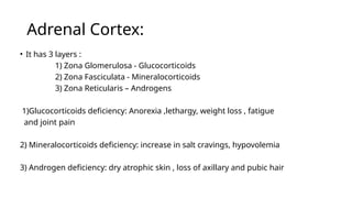 Adrenal Cortex:
• It has 3 layers :
1) Zona Glomerulosa - Glucocorticoids
2) Zona Fasciculata - Mineralocorticoids
3) Zona Reticularis – Androgens
1)Glucocorticoids deficiency: Anorexia ,lethargy, weight loss , fatigue
and joint pain
2) Mineralocorticoids deficiency: increase in salt cravings, hypovolemia
3) Androgen deficiency: dry atrophic skin , loss of axillary and pubic hair
 