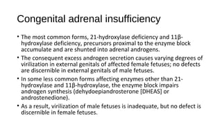 Congenital adrenal insufficiency
• The most common forms, 21-hydroxylase deficiency and 11β-
hydroxylase deficiency, precursors proximal to the enzyme block
accumulate and are shunted into adrenal androgens.
• The consequent excess androgen secretion causes varying degrees of
virilization in external genitals of affected female fetuses; no defects
are discernible in external genitals of male fetuses.
• In some less common forms affecting enzymes other than 21-
hydroxylase and 11β-hydroxylase, the enzyme block impairs
androgen synthesis (dehydoepiandrosterone [DHEAS] or
androstenedione).
• As a result, virilization of male fetuses is inadequate, but no defect is
discernible in female fetuses.
 