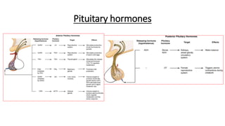 Pituitary hormones
 