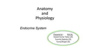 Anatomy
and
Physiology
Endocrine System
Prepared by:- Roll No.
Sukesh Kumar Yadav (28)
Susmita Sapkota (29)
Yuvraj Bhagat (30)
 