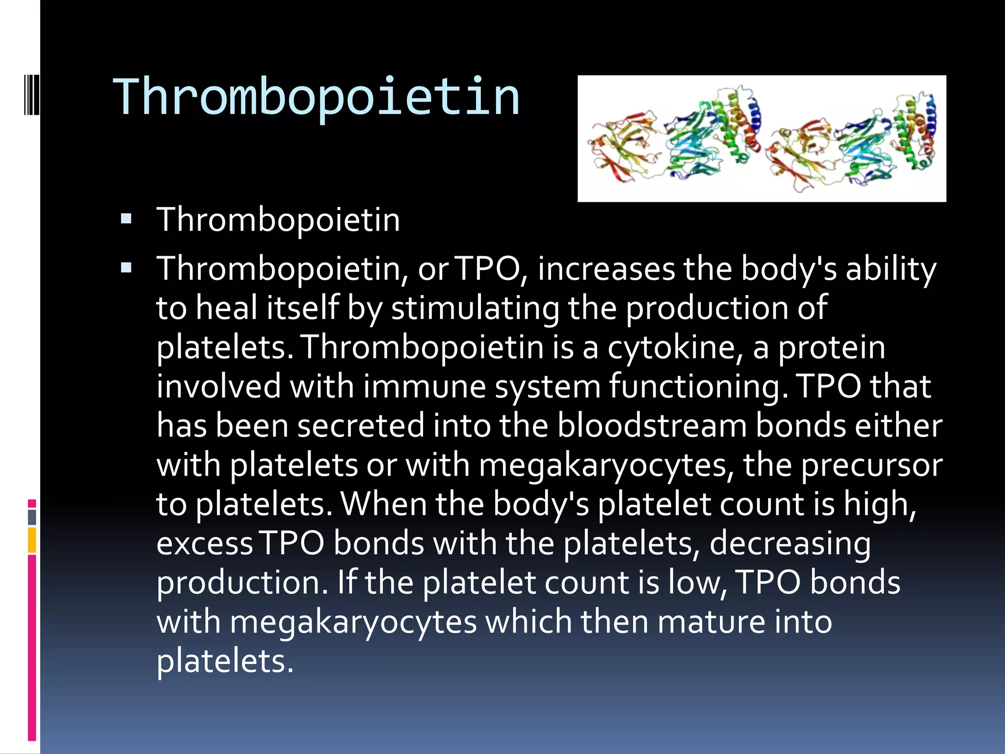 Thrombopoietin
 Thrombopoietin
 Thrombopoietin, or TPO, increases the body's ability

to heal itself by stimulating the production of
platelets. Thrombopoietin is a cytokine, a protein
involved with immune system functioning. TPO that
has been secreted into the bloodstream bonds either
with platelets or with megakaryocytes, the precursor
to platelets. When the body's platelet count is high,
excess TPO bonds with the platelets, decreasing
production. If the platelet count is low, TPO bonds
with megakaryocytes which then mature into
platelets.

 