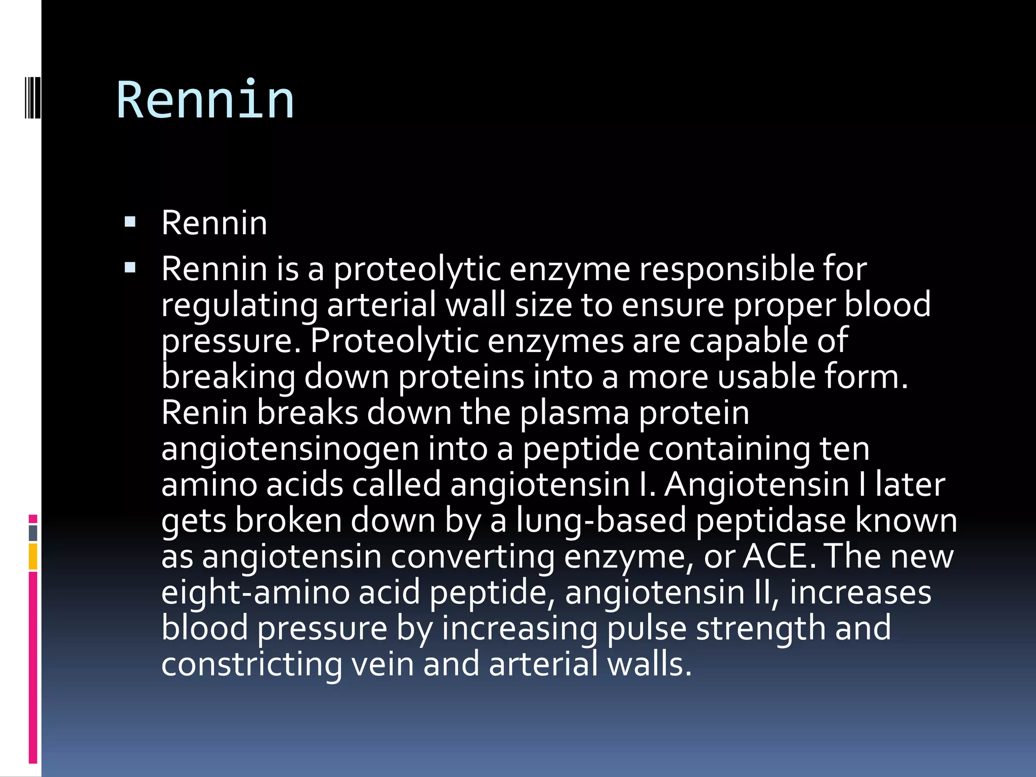 Rennin
 Rennin
 Rennin is a proteolytic enzyme responsible for

regulating arterial wall size to ensure proper blood
pressure. Proteolytic enzymes are capable of
breaking down proteins into a more usable form.
Renin breaks down the plasma protein
angiotensinogen into a peptide containing ten
amino acids called angiotensin I. Angiotensin I later
gets broken down by a lung-based peptidase known
as angiotensin converting enzyme, or ACE. The new
eight-amino acid peptide, angiotensin II, increases
blood pressure by increasing pulse strength and
constricting vein and arterial walls.

 