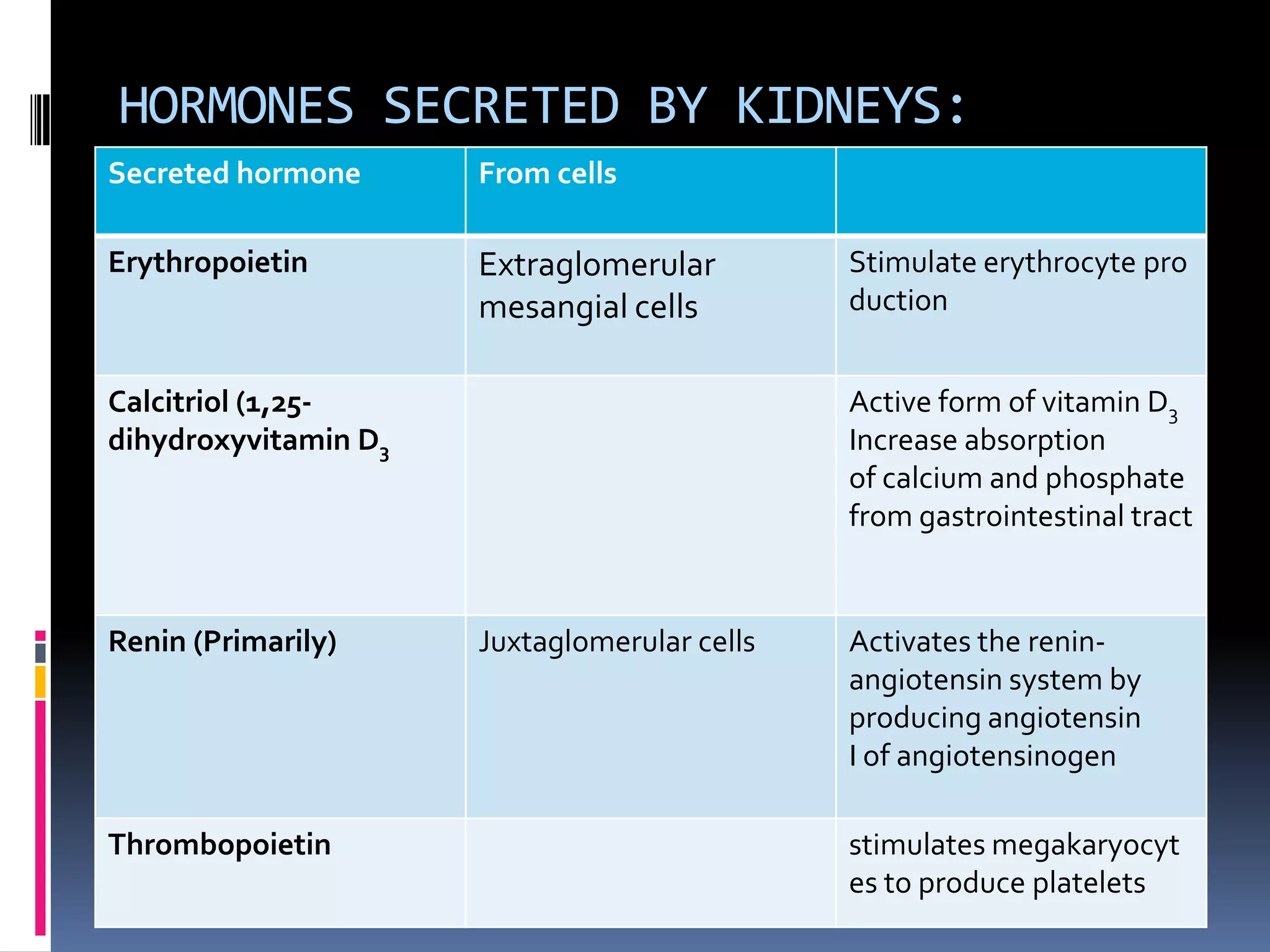 HORMONES SECRETED BY KIDNEYS:
Secreted hormone

Secreted hormone
Erythropoietin

Erythropoietin
Calcitriol (1,25dihydroxyvitamin D3

From cells
From cells

Extraglomerular
mesangial cells
Extraglomerular mesangial
cells

Calcitriol (1,25dihydroxyvitamin D3)
Renin (Primarily)

Renin (Primarily)
Thrombopoietin

Juxtaglomerular cells

Juxtaglomerular cells

Effect
Stimulate erythrocyte pro
duction
Stimulate erythrocyte pr
Active form
oduction of vitamin D3
Increase absorption
of calcium and phosphate
from gastrointestinal tract
Active form of vitamin
D3
Increase absorption
Activates and phosphat
of calciumthe reninangiotensin system by
e from gastrointestinal
producing angiotensin
tract
I of angiotensinogen
Activates the reninangiotensin system by
stimulates megakaryocyt
producing angiotensin
Ies to produce platelets
of angiotensinogen

 
