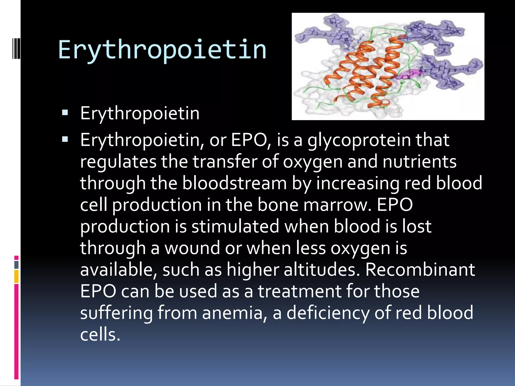 Erythropoietin
 Erythropoietin
 Erythropoietin, or EPO, is a glycoprotein that

regulates the transfer of oxygen and nutrients
through the bloodstream by increasing red blood
cell production in the bone marrow. EPO
production is stimulated when blood is lost
through a wound or when less oxygen is
available, such as higher altitudes. Recombinant
EPO can be used as a treatment for those
suffering from anemia, a deficiency of red blood
cells.

 