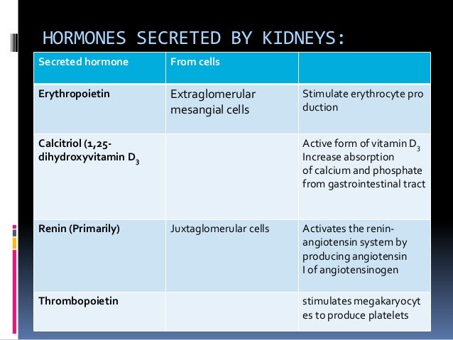Calcitriol Hormone Function