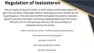 Testosterone Primary Endocrine functions of testies.pdf testies endocrinology | PDF