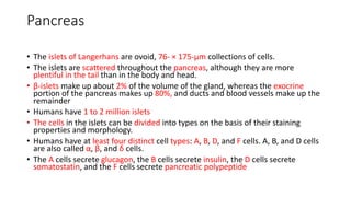 Endocrine functions of the pancreas & regulation of | PPTX