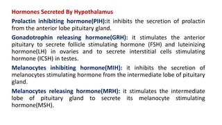 Hormones Secreted By Hypothalamus
Prolactin inhibiting hormone(PIH):it inhibits the secretion of prolactin
from the anterior lobe pituitary gland.
Gonadotrophin releasing hormone(GRH): it stimulates the anterior
pituitary to secrete follicle stimulating hormone (FSH) and luteinizing
hormone(LH) in ovaries and to secrete interstitial cells stimulating
hormone (ICSH) in testes.
Melanocytes inhibiting hormone(MIH): it inhibits the secretion of
melanocytes stimulating hormone from the intermediate lobe of pituitary
gland.
Melanocytes releasing hormone(MRH): it stimulates the intermediate
lobe of pituitary gland to secrete its melanocyte stimulating
hormone(MSH).
 