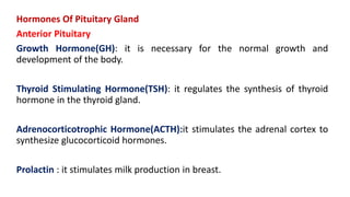 Hormones Of Pituitary Gland
Anterior Pituitary
Growth Hormone(GH): it is necessary for the normal growth and
development of the body.
Thyroid Stimulating Hormone(TSH): it regulates the synthesis of thyroid
hormone in the thyroid gland.
Adrenocorticotrophic Hormone(ACTH):it stimulates the adrenal cortex to
synthesize glucocorticoid hormones.
Prolactin : it stimulates milk production in breast.
 