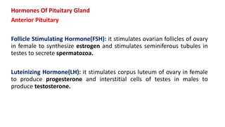 Hormones Of Pituitary Gland
Anterior Pituitary
Follicle Stimulating Hormone(FSH): it stimulates ovarian follicles of ovary
in female to synthesize estrogen and stimulates seminiferous tubules in
testes to secrete spermatozoa.
Luteinizing Hormone(LH): it stimulates corpus luteum of ovary in female
to produce progesterone and interstitial cells of testes in males to
produce testosterone.
 