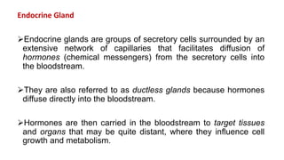 Endocrine Gland
Endocrine glands are groups of secretory cells surrounded by an
extensive network of capillaries that facilitates diffusion of
hormones (chemical messengers) from the secretory cells into
the bloodstream.
They are also referred to as ductless glands because hormones
diffuse directly into the bloodstream.
Hormones are then carried in the bloodstream to target tissues
and organs that may be quite distant, where they influence cell
growth and metabolism.
 