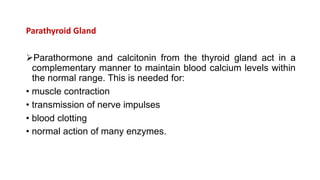 Parathyroid Gland
Parathormone and calcitonin from the thyroid gland act in a
complementary manner to maintain blood calcium levels within
the normal range. This is needed for:
• muscle contraction
• transmission of nerve impulses
• blood clotting
• normal action of many enzymes.
 