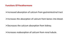 Functions Of Parathormone
Increased absorption of calcium from gastrointestinal tract
Increases the absorption of calcium from bones into blood.
Decreases the calcium absorption from kidney.
Increases reabsorption of calcium from renal tubule.
 