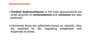 Glucocorticoids
Cortisol (hydrocortisone) is the main glucocorticoid but
small amounts of corticosterone and cortisone are also
produced.
Commonly these are collectively known as ‘steroids’; they
are essential for life, regulating metabolism and
responses to stress.
 