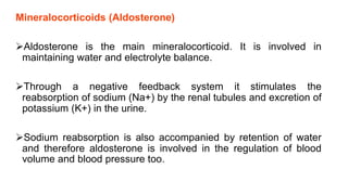 Mineralocorticoids (Aldosterone)
Aldosterone is the main mineralocorticoid. It is involved in
maintaining water and electrolyte balance.
Through a negative feedback system it stimulates the
reabsorption of sodium (Na+) by the renal tubules and excretion of
potassium (K+) in the urine.
Sodium reabsorption is also accompanied by retention of water
and therefore aldosterone is involved in the regulation of blood
volume and blood pressure too.
 