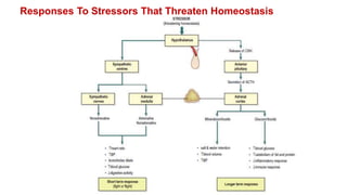 Responses To Stressors That Threaten Homeostasis
 