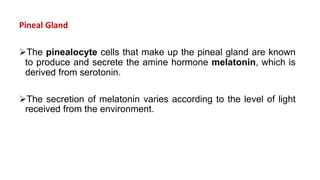 Pineal Gland
The pinealocyte cells that make up the pineal gland are known
to produce and secrete the amine hormone melatonin, which is
derived from serotonin.
The secretion of melatonin varies according to the level of light
received from the environment.
 