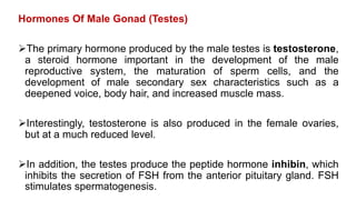 Hormones Of Male Gonad (Testes)
The primary hormone produced by the male testes is testosterone,
a steroid hormone important in the development of the male
reproductive system, the maturation of sperm cells, and the
development of male secondary sex characteristics such as a
deepened voice, body hair, and increased muscle mass.
Interestingly, testosterone is also produced in the female ovaries,
but at a much reduced level.
In addition, the testes produce the peptide hormone inhibin, which
inhibits the secretion of FSH from the anterior pituitary gland. FSH
stimulates spermatogenesis.
 