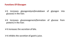 Functions Of Glucagon
It increases glycogenolysis(breakdown of glycogen into
glucose) in the liver.
It increases gluconeogenesis(formation of glucose from
protein) in the liver.
It increases the secretion of bile.
It inhibits the secretion of gastric juice.
 