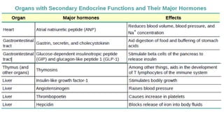 Endocrine gland