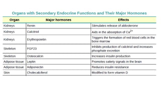 Endocrine gland