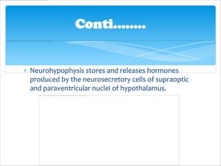 Conti……..


Neurohypophysis stores and releases hormones
produced by the neurosecretory cells of supraoptic
and paraventricular nuclei of hypothalamus.
 