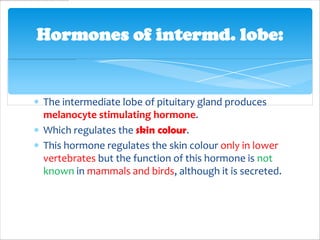 Hormones of intermd. lobe:


The intermediate lobe of pituitary gland produces
melanocyte stimulating hormone.
Which regulates the skin colour.
This hormone regulates the skin colour only in lower
vertebrates but the function of this hormone is not
known in mammals and birds, although it is secreted.
 