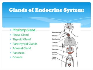 Glands of Endocrine System:


 Pituitary Gland
 Pineal Gland
 Thyroid Gland
 Parathyroid Glands
 Adrenal Gland
 Pancreas
 Gonads
 