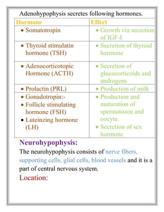 Adenohypophysis secretes following hormones.
Hormone                    Effect
   Somatotropin                Growth via secretion
                               of IGF-I
   Thyroid stimulatin          Secretion of thyroid
   hormone (TSH)               hormone

   Adenocorticotopic               Secretion of
   Hormone (ACTH)                  glucocorticoids and
                                   androgens
   Prolactin (PRL)                 Production of milk
   Gonadotropin:-                  Production and
   Follicle stimulating            maturation of
   hormone (FSH)                   spermatozoa and
   Luteinzing hormone              oocyte.
   (LH)                            Secretion of sex
                                   hormone
 Neurohypophysis:
 The neurohypophysis consists of nerve fibers,
 supporting cells, glial cells, blood vessels and it is a
 part of central nervous system.
 Location:
 