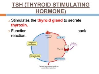 TSH (THYROID STIMULATING
HORMONE)
 Stimulates the thyroid gland to secrete
thyroxin.
 Function by means of a negative feedback
reaction.
 