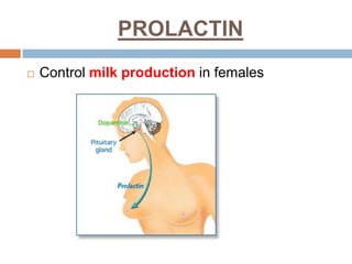 PROLACTIN
 Control milk production in females
 