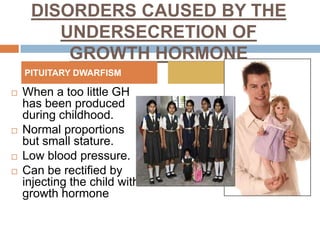 DISORDERS CAUSED BY THE
UNDERSECRETION OF
GROWTH HORMONE
 When a too little GH
has been produced
during childhood.
 Normal proportions
but small stature.
 Low blood pressure.
 Can be rectified by
injecting the child with
growth hormone
PITUITARY DWARFISM
 