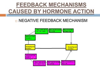 FEEDBACK MECHANISMS
CAUSED BY HORMONE ACTION
 NEGATIVE FEEDBACK MECHANISM
 