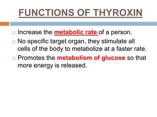 FUNCTIONS OF THYROXIN
 Increase the metabolic rate of a person.
 No specific target organ, they stimulate all
cells of the body to metabolize at a faster rate.
 Promotes the metabolism of glucose so that
more energy is released.
 